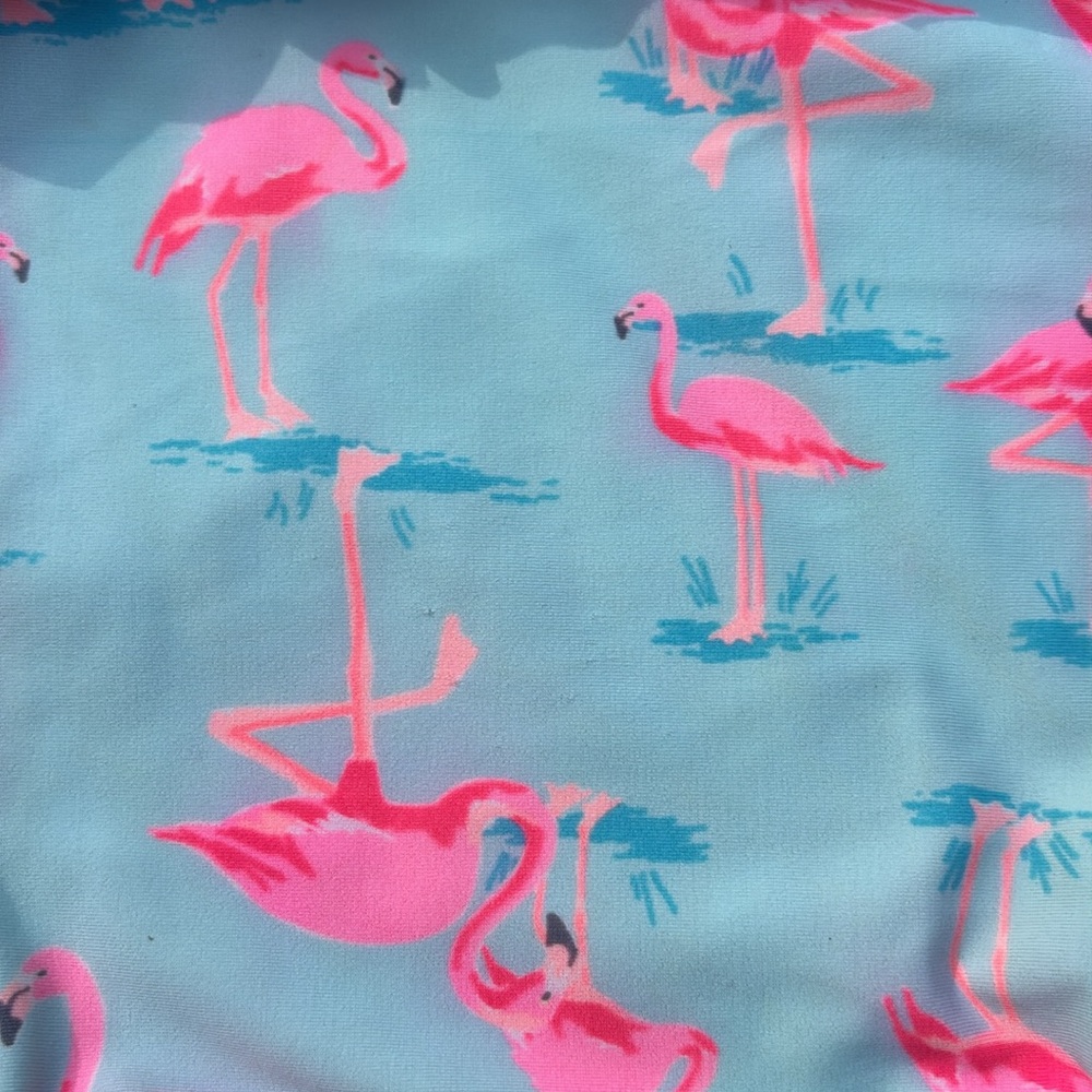 Carters 2 baby girl bathing suits 6-9 mo. 1 pc. flamingo, 2 pc. lemon rashguard - Picture 5 of 11